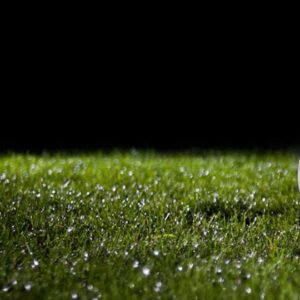 artificial-grass-4