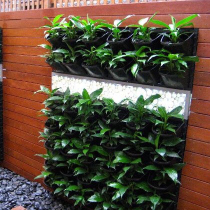 VERTICAL GARDENS SUPPLIER IN BANGALORE