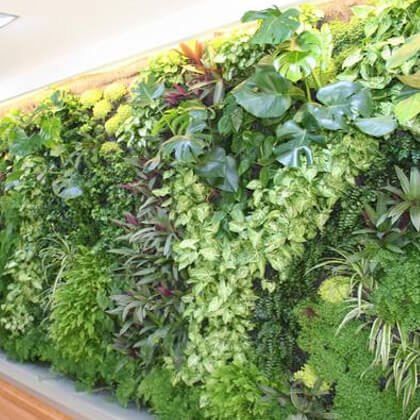 VERTICAL GARDENS SUPPLIER IN BANGALORE