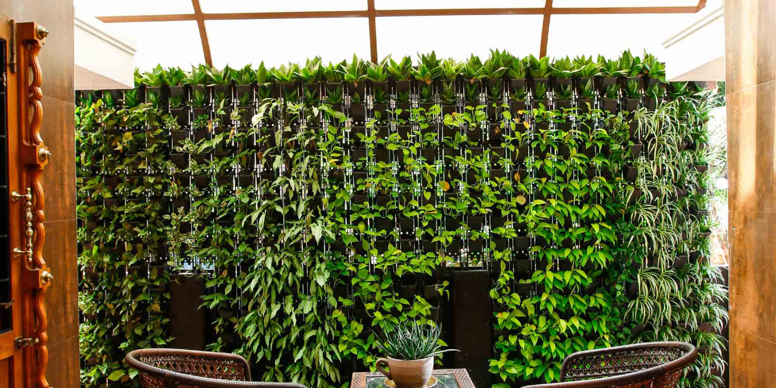 BC WALL COVERING VERTICAL GARDENS SUPPLIER IN BANGALORE