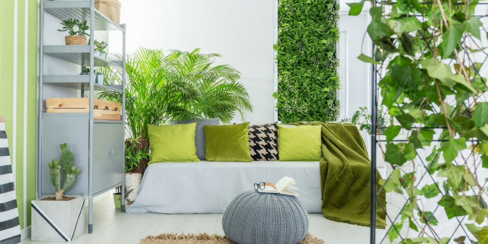 BC WALL COVERING VERTICAL GARDENS SUPPLIER IN BANGALORE