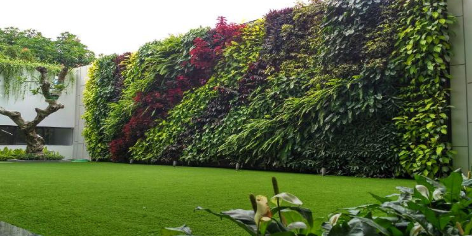 BC WALL COVERING VERTICAL GARDENS SUPPLIER IN BANGALORE